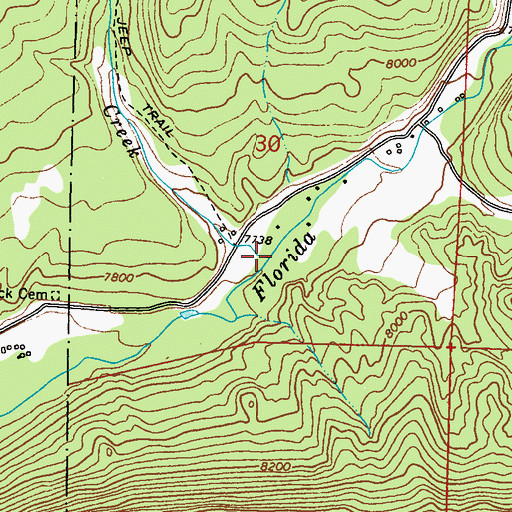 Topographic Map of True Creek, CO