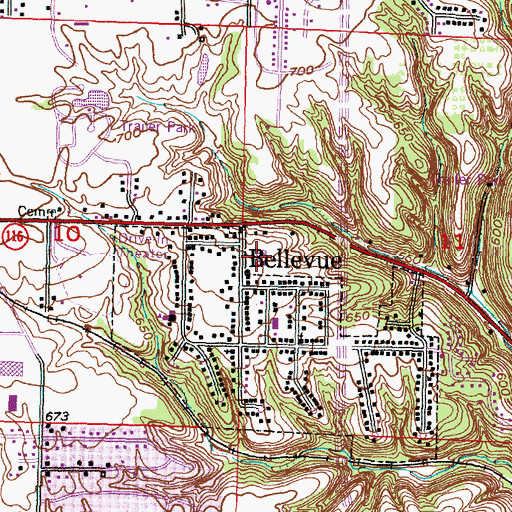 Topographic Map of Bellevue West School, IL