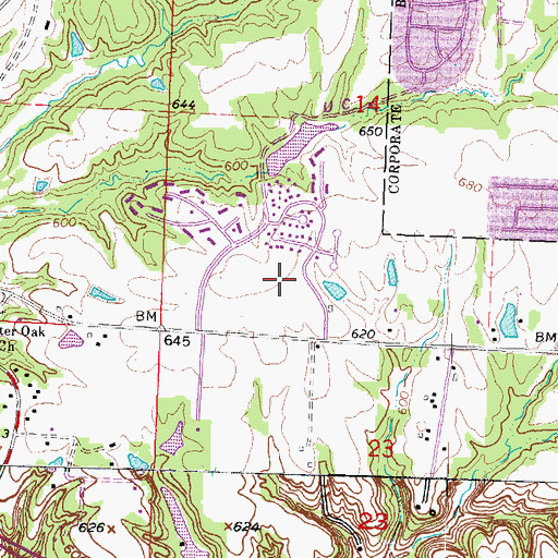 Topographic Map of Charter Oak Primary School, IL