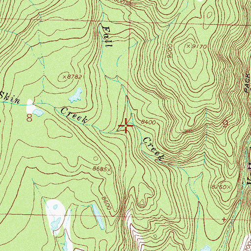 Topographic Map of Weasel Skin Creek, CO
