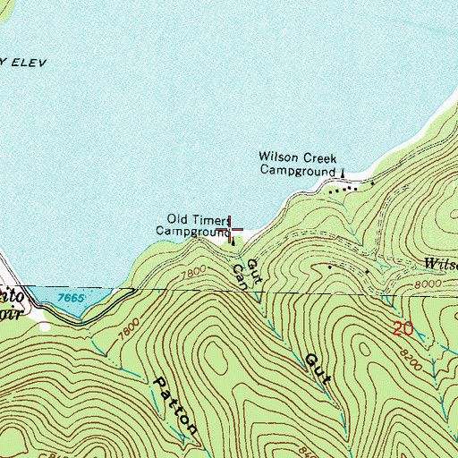 Topographic Map of Gut Canyon, CO