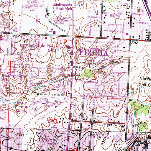 Topographic Map of Mount Olive Missionary Church, IL