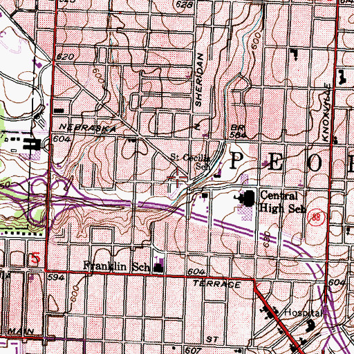 Topographic Map of New Testament Fellowship Church, IL