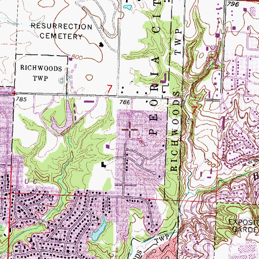 Topographic Map of Richwoods Christian Church, IL
