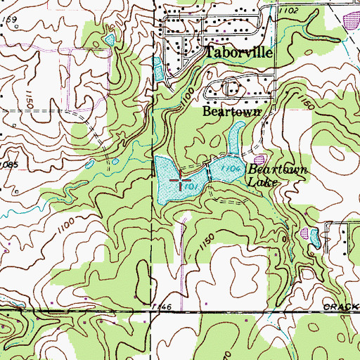 Topographic Map of Lower Bear Lake, OH