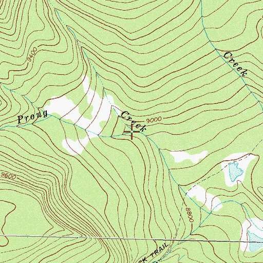 Topographic Map of West Prong Red Creek, CO