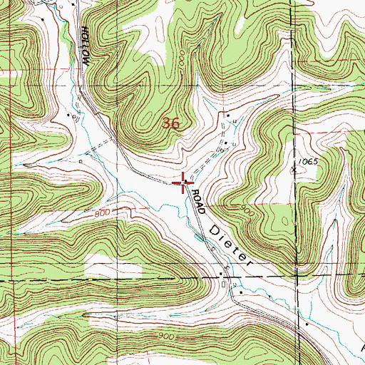 Topographic Map of Dieter Hollow Church (historical), WI