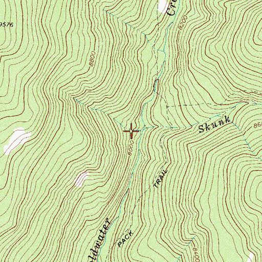 Topographic Map of Skunk Creek, CO