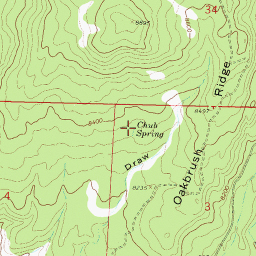 Topographic Map of Chub Spring, CO