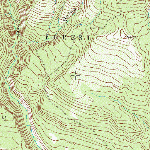 Topographic Map of Turkey Creek, CO