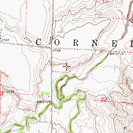 Topographic Map of Township of Cornell, NE