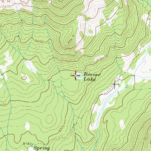 Topographic Map of Beaver Lake, CO