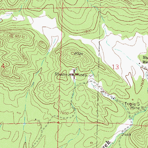 Topographic Map of Shamrock Mines, CO
