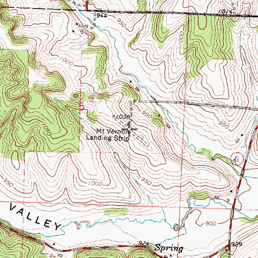 Topographic Map of Mount Vernon Landing Strip (historical), WI