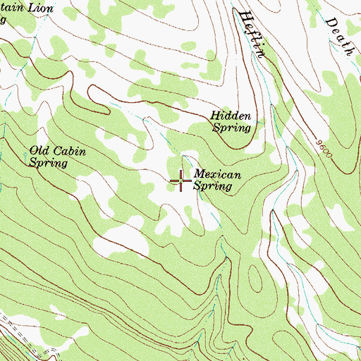 Topographic Map of Mexican Spring, CO