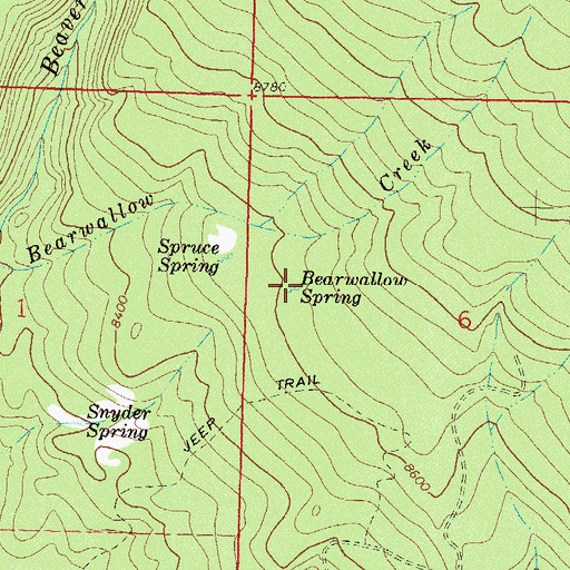 Topographic Map of Bearwallow Spring, CO