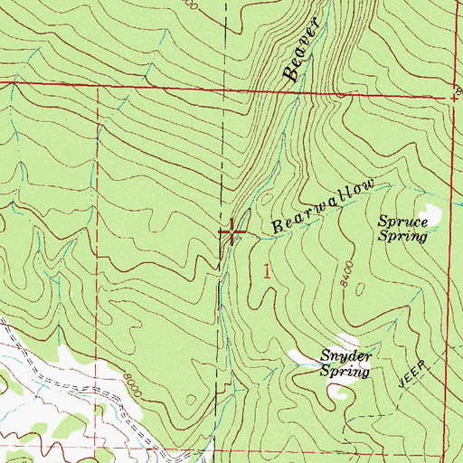 Topographic Map of Bearwallow Creek, CO
