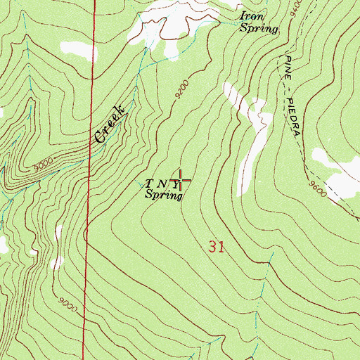 Topographic Map of T N Y Spring, CO