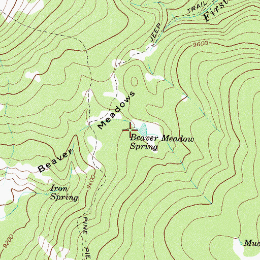 Topographic Map of Beaver Meadow Spring, CO