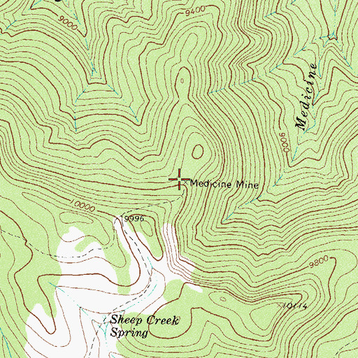 Topographic Map of Medicine Mine, CO