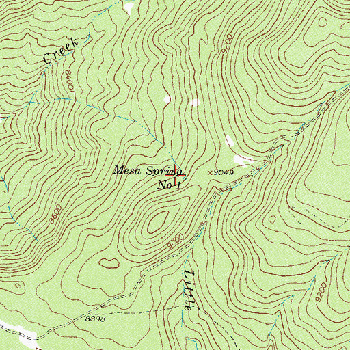 Topographic Map of Mesa Spring Number 1, CO