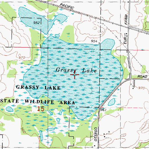Topographic Map of Grassy Lake, WI