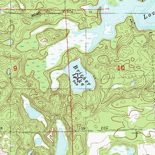 Topographic Map of Bricher Lake, WI