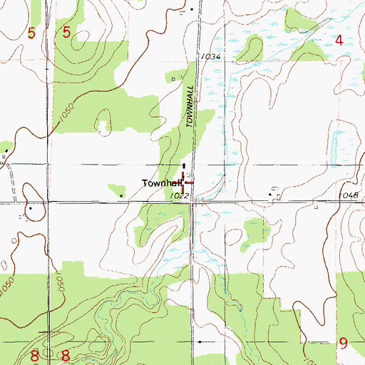 Topographic Map of Dewey Townhall, WI