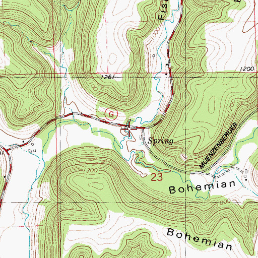 Topographic Map of Fisbach Coulee, WI