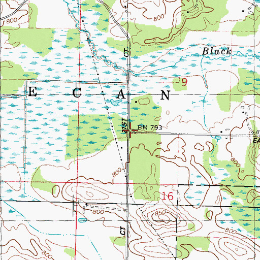 Topographic Map of School Number 8 (historical), WI