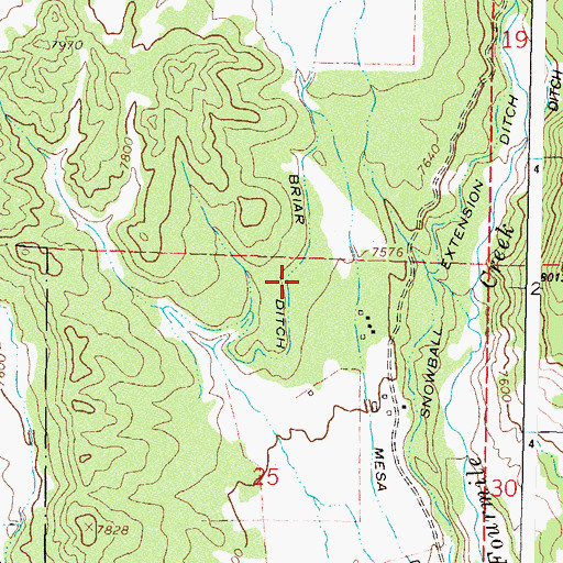 Topographic Map of Briar Ditch, CO