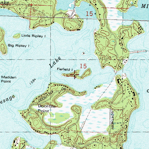Topographic Map of Fiefield Island, WI