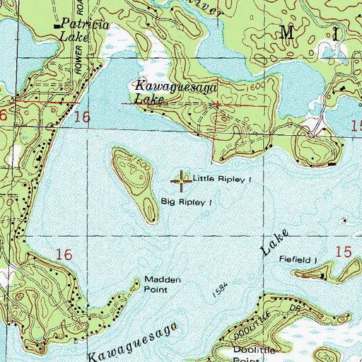 Topographic Map of Little Ripley Island, WI