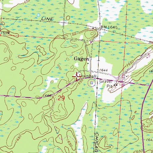 Topographic Map of Piehl Townhall, WI