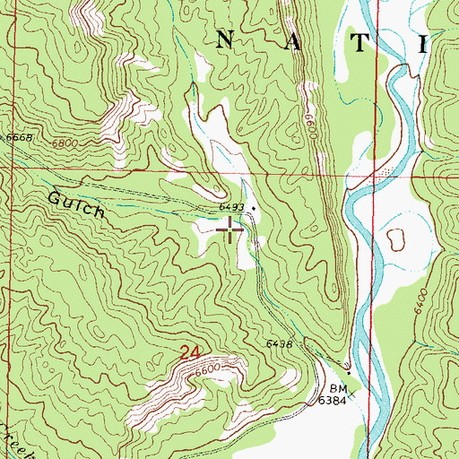 Topographic Map of Peterson Gulch, CO