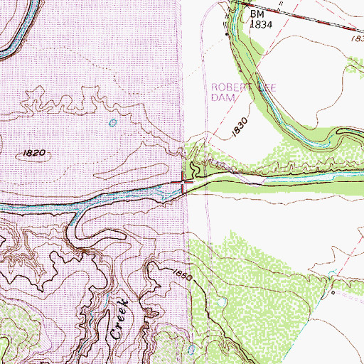 Topographic Map of Robert Lee Dam, TX