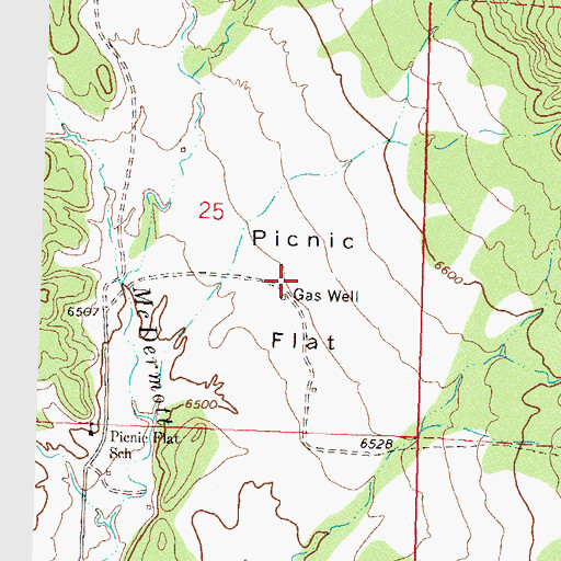 Topographic Map of Picnic Flat, CO