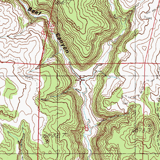 Topographic Map of Beef Canyon, NM