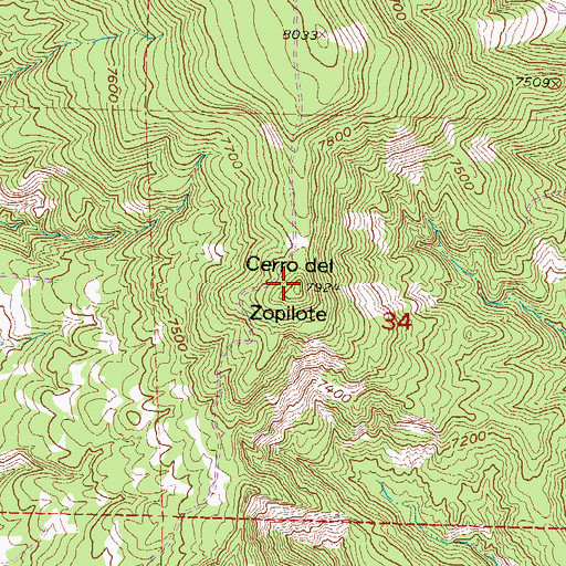 Topographic Map of Cerro del Zopilote, CO