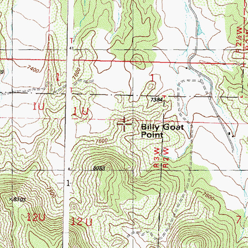 Topographic Map of Billy Goat Point, CO