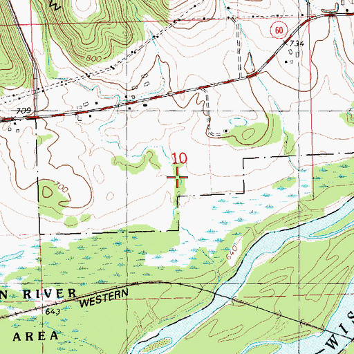 Topographic Map of Brown Hollow, WI