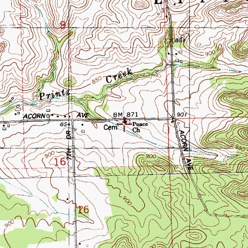 Topographic Map of Peace Church, WI