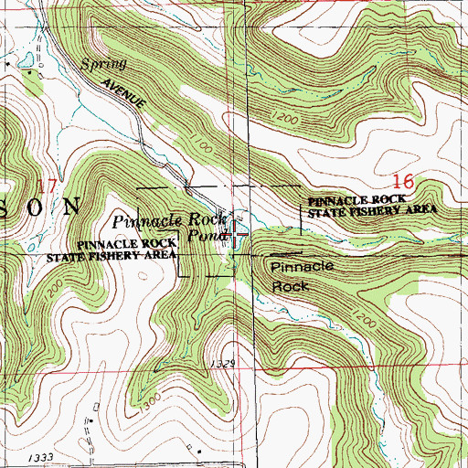 Topographic Map of Pinnacle Rock Pond, WI
