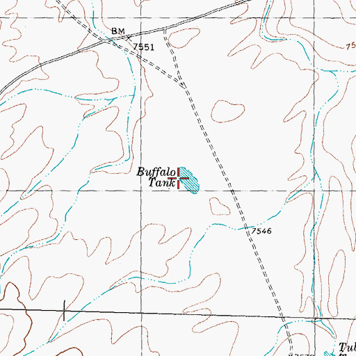 Topographic Map of Buffalo Tank, NM
