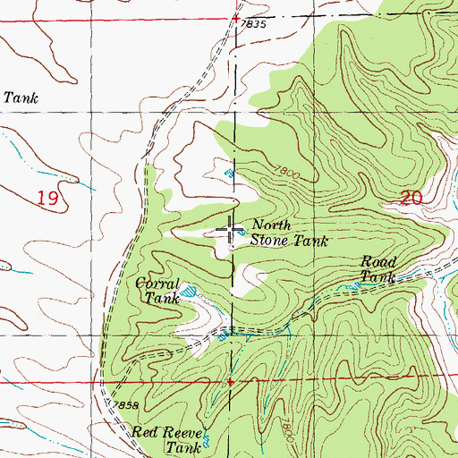 Topographic Map of North Stone Tank, NM