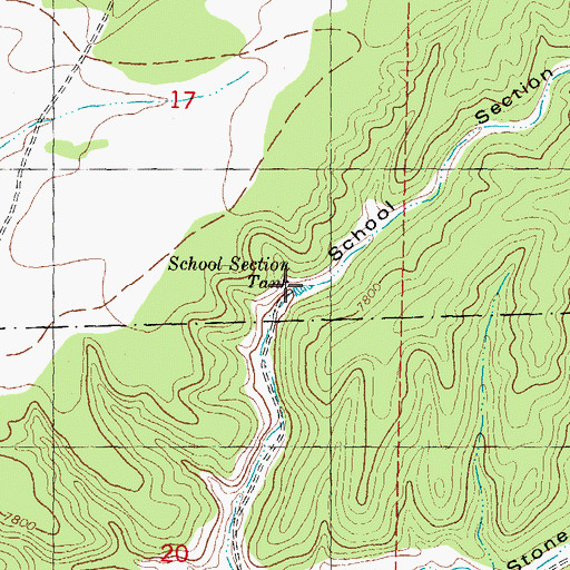 Topographic Map of School Section Tank, NM