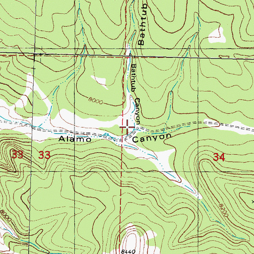 Topographic Map of Bathtub Canyon, NM