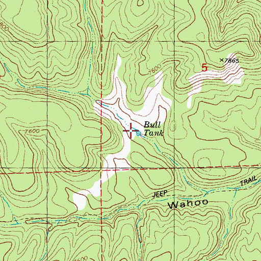 Topographic Map of Bull Tank, NM