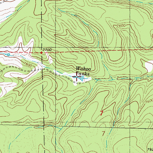 Topographic Map of Wahoo Tanks, NM