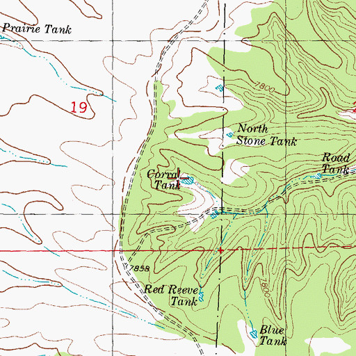 Topographic Map of Corral Tank, NM